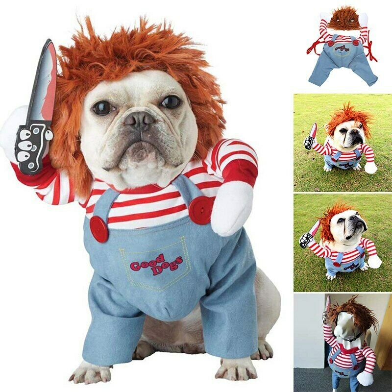 Chouchoute Halloween Star – Adjustable Pet Costume
