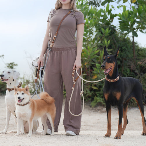 Chouchoute Élan – Full-Grain Leather Dog Collar & Leash
