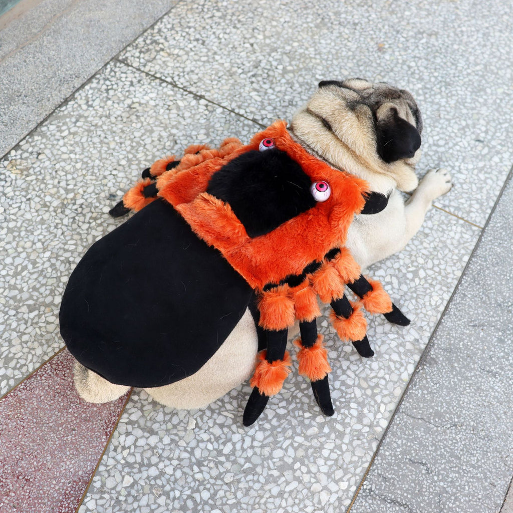 Little Spider – Halloween Pet Outfit