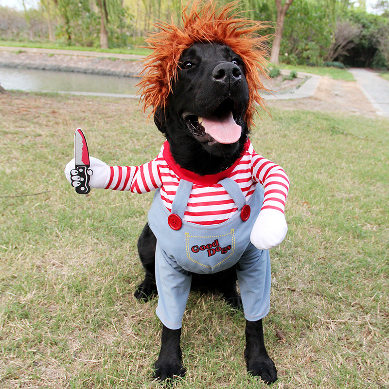 Chouchoute Halloween Star – Adjustable Pet Costume