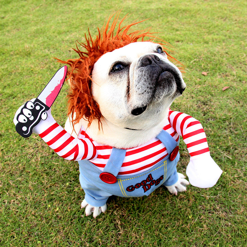 Chouchoute Halloween Star – Adjustable Pet Costume