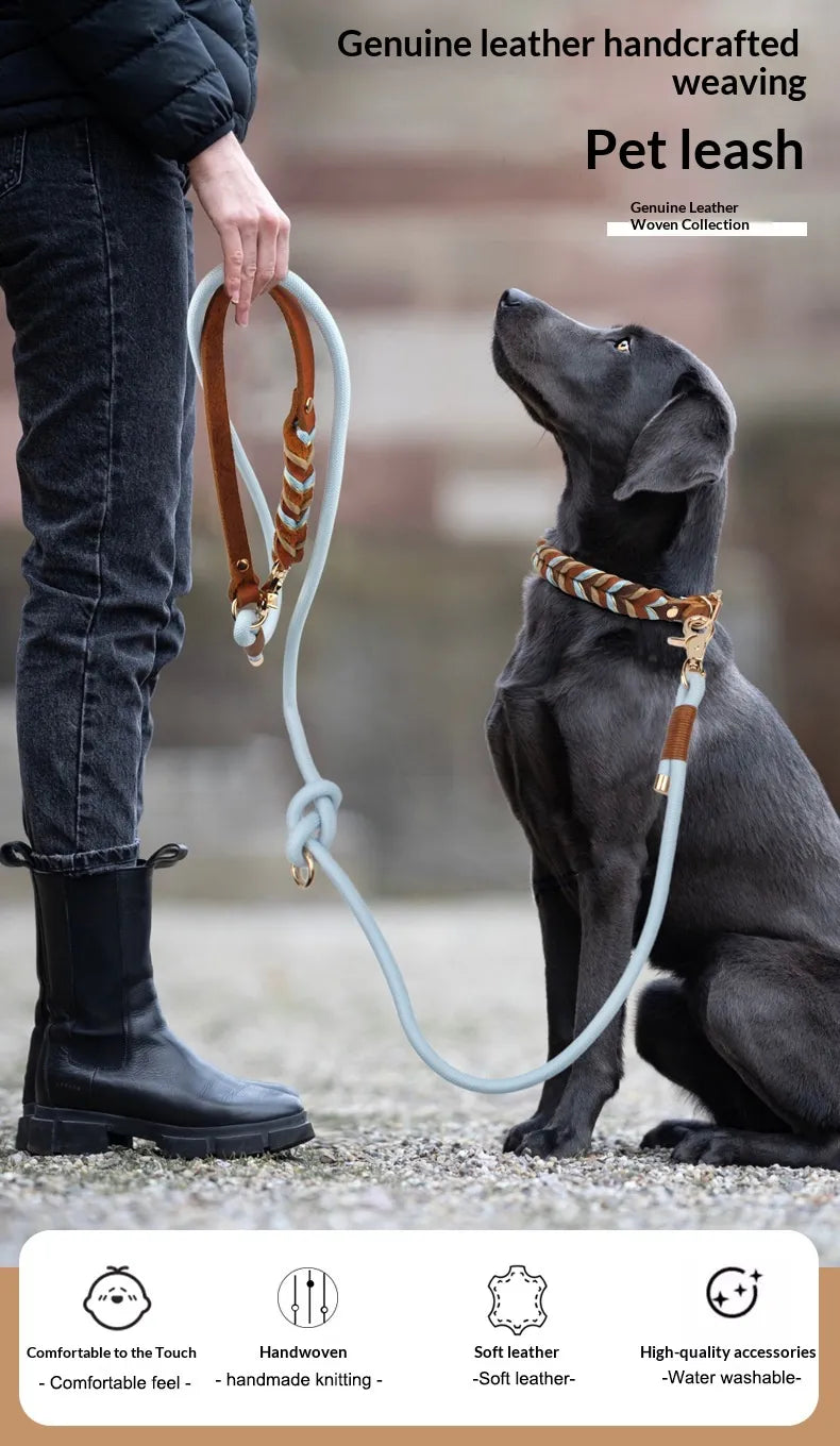 Chouchoute Élan – Full-Grain Leather Dog Collar & Leash